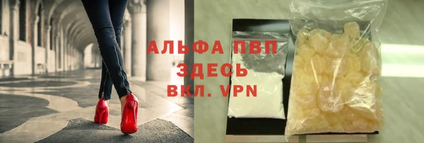 прущие грибы Ростов