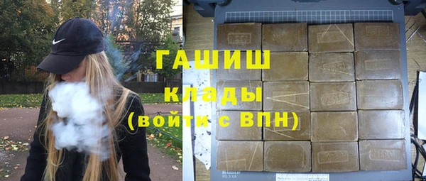 индика Абинск