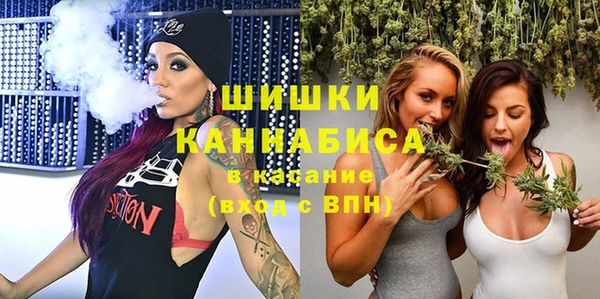 прущие грибы Ростов