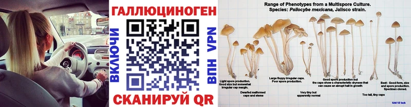 Псилоцибиновые грибы MAGIC MUSHROOMS  кракен ССЫЛКА  Волоколамск 